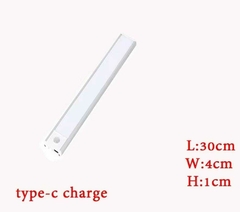 Tira luz led sensor placard alacena adhesivo y carga usb - Baluni