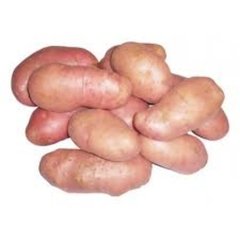 BATATA INGLESA ROSA - Kg