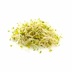 BROTO DE ALFAFA (embalagem de 125g)