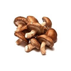 COGUMELO SHITAKE (embalagem de 200g)