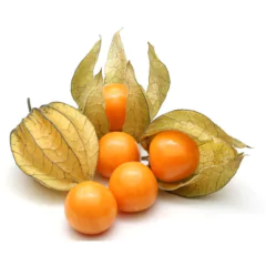 PHYSALIS (embalagem de 100g)