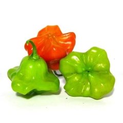 PIMENTA CAMBUCI (embalagem de 150g)
