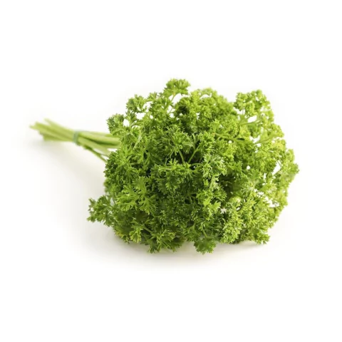 SALSA CRESPA - molho