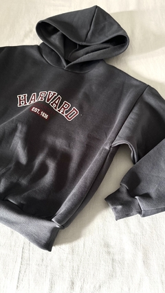 Buzo Harvard en internet
