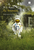 Los Terranautas - Thomas Coraghessan Boyle