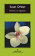El ladrón de orquídeas / Una historia verdadera de belleza y obsesión - Susan Orlean
