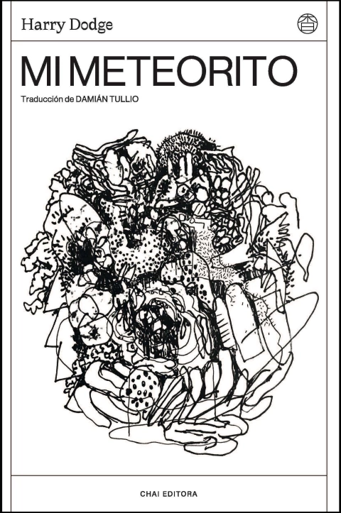 Mi meteorito - Harry Dodge