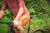 Bretelle Masculino Marcio May Moove Topaz Foto com Ciclista