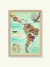 Latinoamérica Flora y Fauna - comprar online