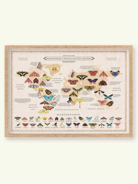 Mariposas del mundo - comprar online