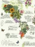 Mapamundi Flora Autoctona en internet