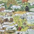 Mapa-Cuadro-Parques-nacionales-detalle