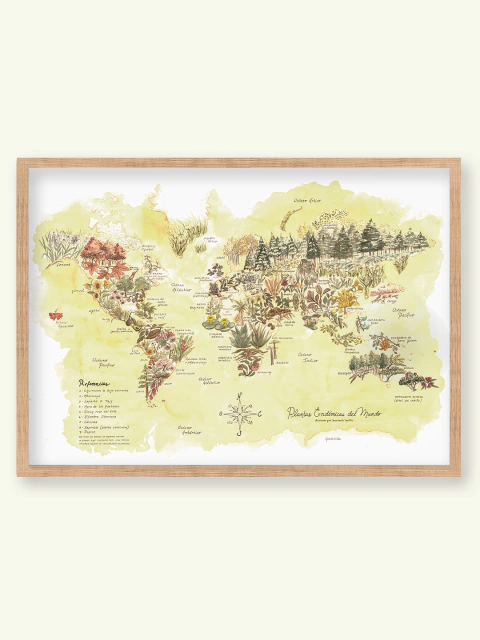 Plantas endémicas del mundo - comprar online