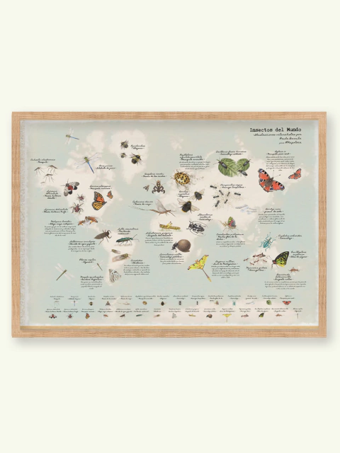 Insectos del Mundo - comprar online