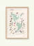 Migración de aves argentinas - comprar online