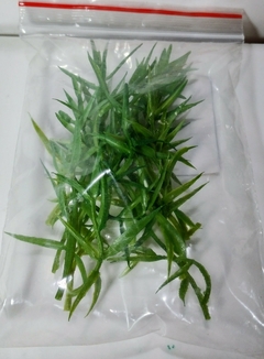 ARBOLES CHICOS 1/72 --1/87 - tienda online