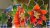Naranja - Laca Vitral - Dekora - comprar online