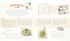 Las recetas de Miranda en internet