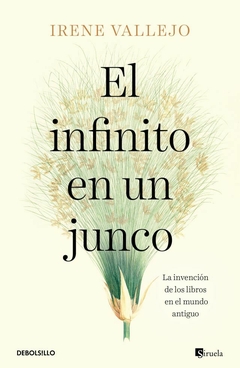 el infinito en un junco