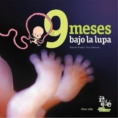 9 meses bajo la lupa