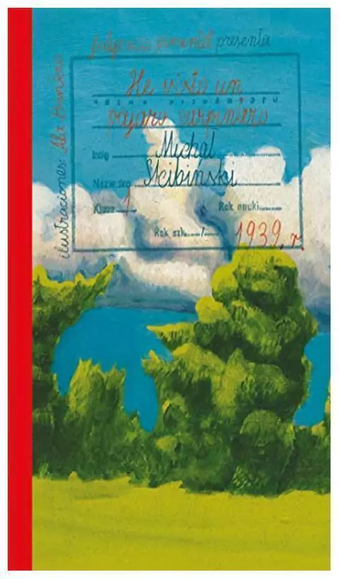 he visto un pájaro carpintero