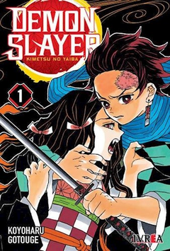 Demon Slayer Kimetsu no Yaiba 1