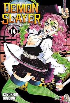 Demon Slayer Kimetsu no Yaiba 14