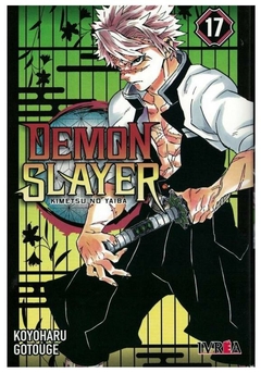 demon slayer 17