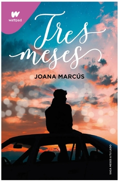 tres meses (meses a tu lado 3) joana marcús