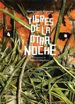 Tigres de la otra noche