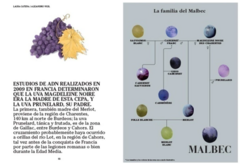 malbec mon amour - comprar online