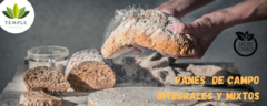 Banner de la categoría Panificados