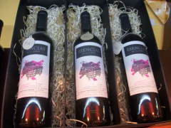 Vino Cabernet Sauvignon Orgánico Esencias De La Tierra Familia Cecchin 750ml