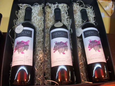 Vino Cabernet Sauvignon Orgánico Esencias De La Tierra Familia Cecchin 750ml