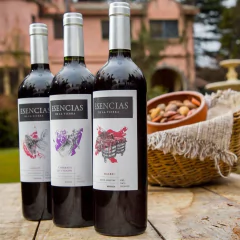 Vino Cabernet Sauvignon Orgánico Esencias De La Tierra Familia Cecchin 750ml - comprar online