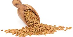 Semillas De Fenogreco A Granel (Ideal Para Brotes E Infusiones) - comprar online