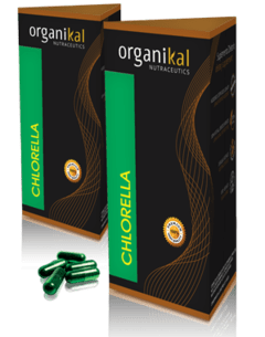 Organikal Chlorella Orgánica x60 Cápsulas