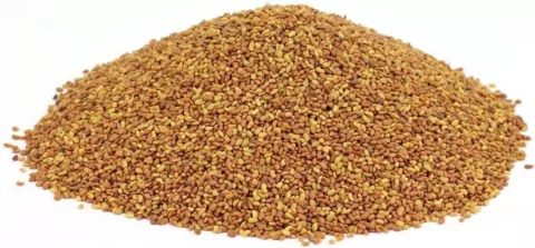 Semillas De Alfalfa Agroegológica Biodinámica ( Ideal Para Brotes ) Naturaleza Viva