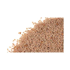 Semillas De Zaragatona Psyllium En Polvo (Calidad Premium) - comprar online