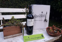 Vino Malbec Orgánico 6 Meses En Roble Flia. Cecchin 750ml