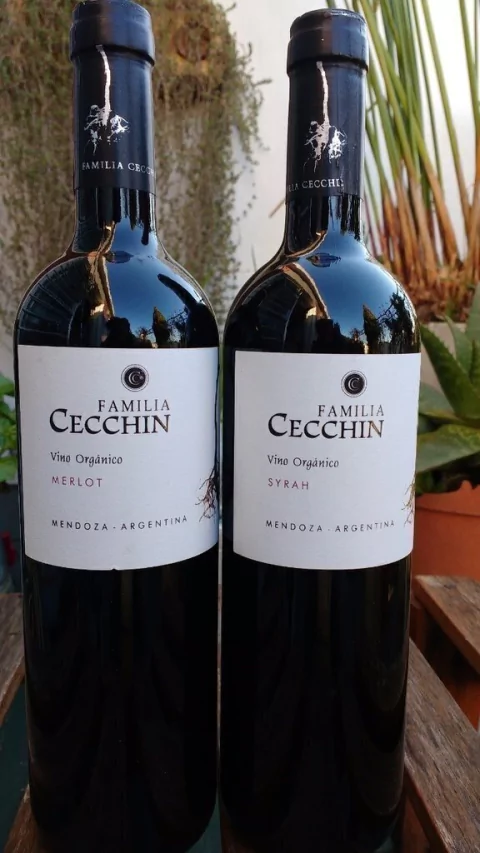 Vino Syrah Orgánico Flia. Cecchin 750ml