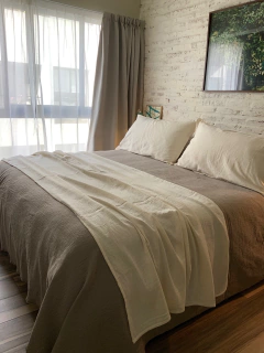 Manta Raiz Lisa Crudo en internet