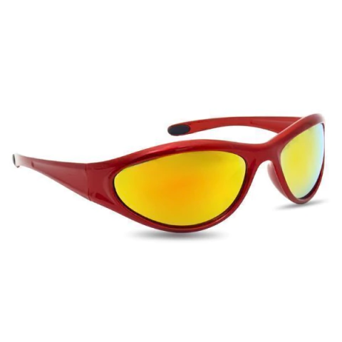 Óculos de Sol Premium - 2W60001