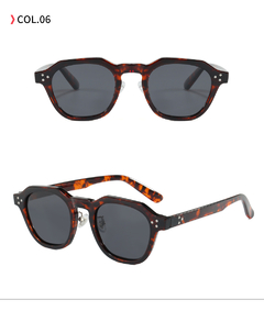 Óculos de Sol Premium Clássico TR90 2W25 20125 - loja online