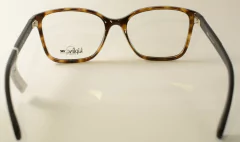 Imagem do Óculos Kipling KP3101