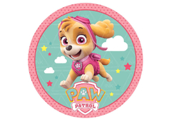 Cód. 1436 PAW PATROL (chocotransfer)