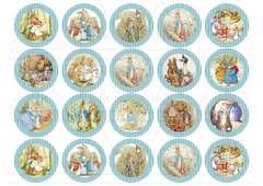 Cód. 928-01 PETER RABBIT (chocotransfer)