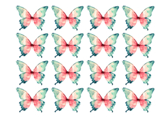 Mariposa-2024
