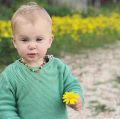 Imagen de Collar Rosa ~ Ámbar, jade y amazonita