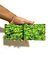 Carteira slim cannabis folhas 16i20 - comprar online